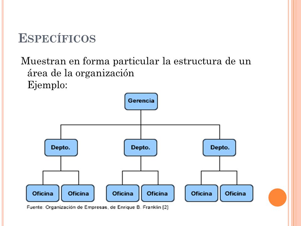 Específicos Muestran en forma particular la estructura de un área de la organización Ejemplo: