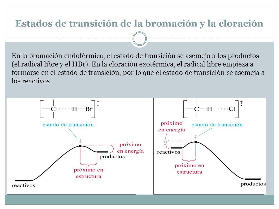 Estados de transición de la bromación y la cloración