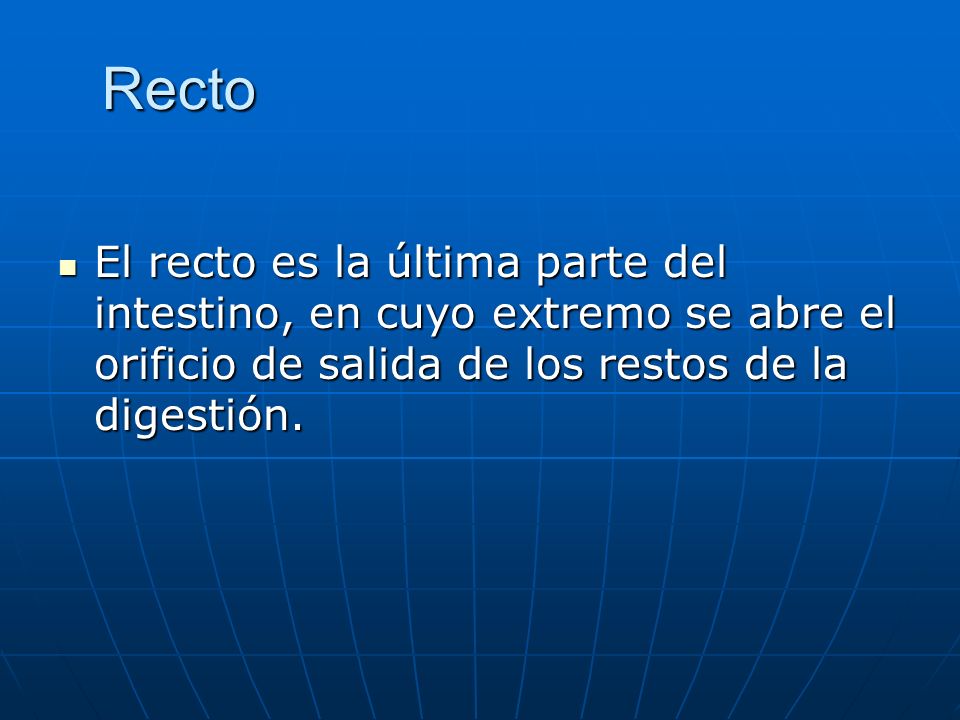Recto El recto es la última parte del intestino, en cuyo extremo se abre el orificio de salida de los restos de la digestión.