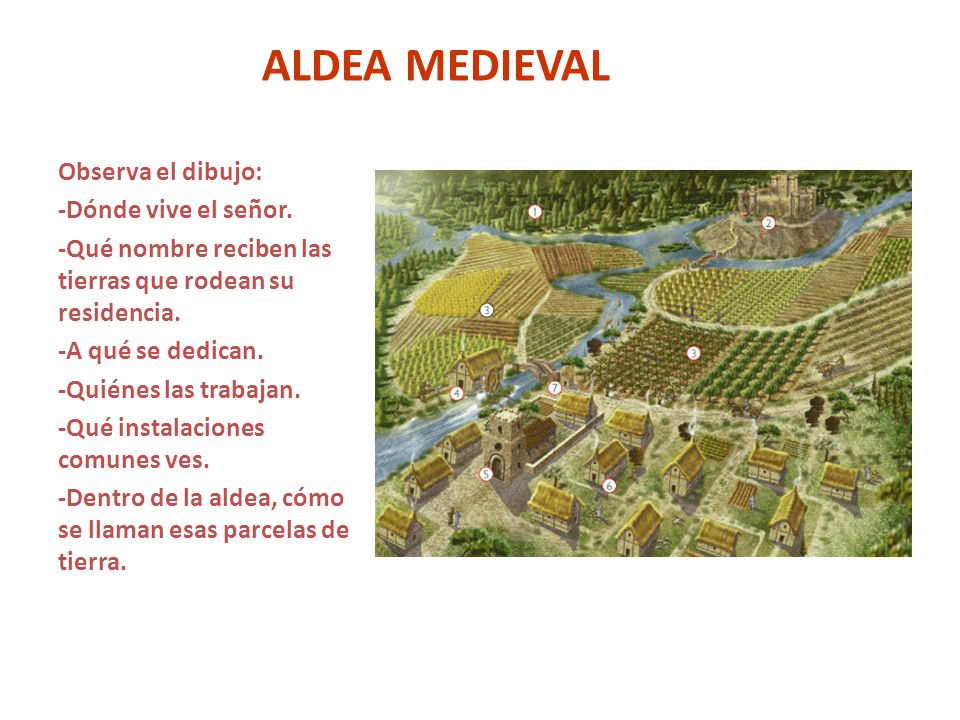 ALDEA MEDIEVAL Observa el dibujo: -Dónde vive el señor.