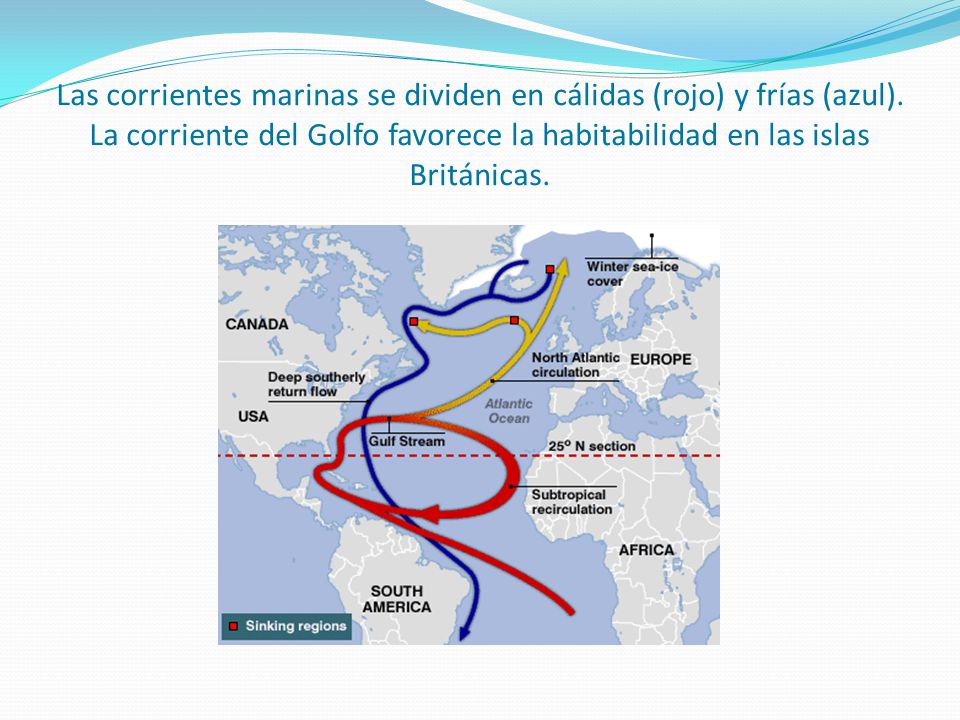 Las corrientes marinas se dividen en cálidas (rojo) y frías (azul)