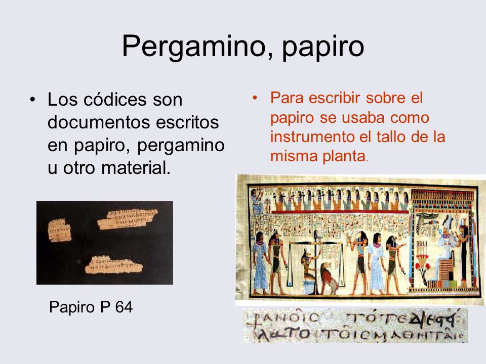 Pergamino, papiro Los códices son documentos escritos en papiro, pergamino u otro material.