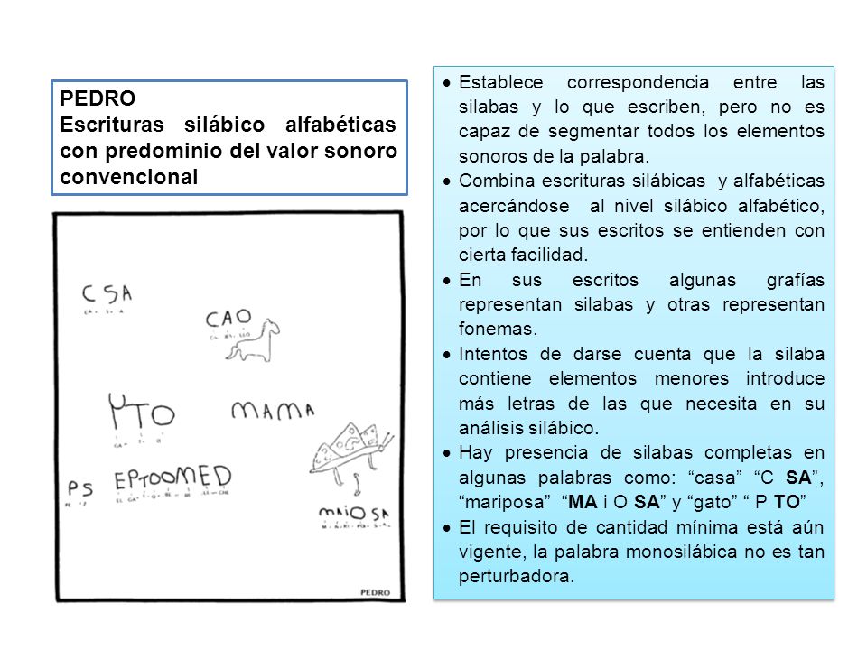 Establece correspondencia entre las silabas y lo que escriben, pero no es capaz de segmentar todos los elementos sonoros de la palabra.
