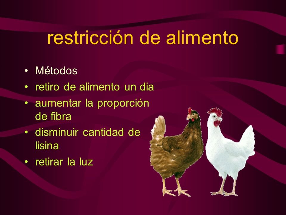 restricción de alimento