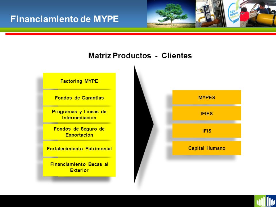 Matriz Productos - Clientes