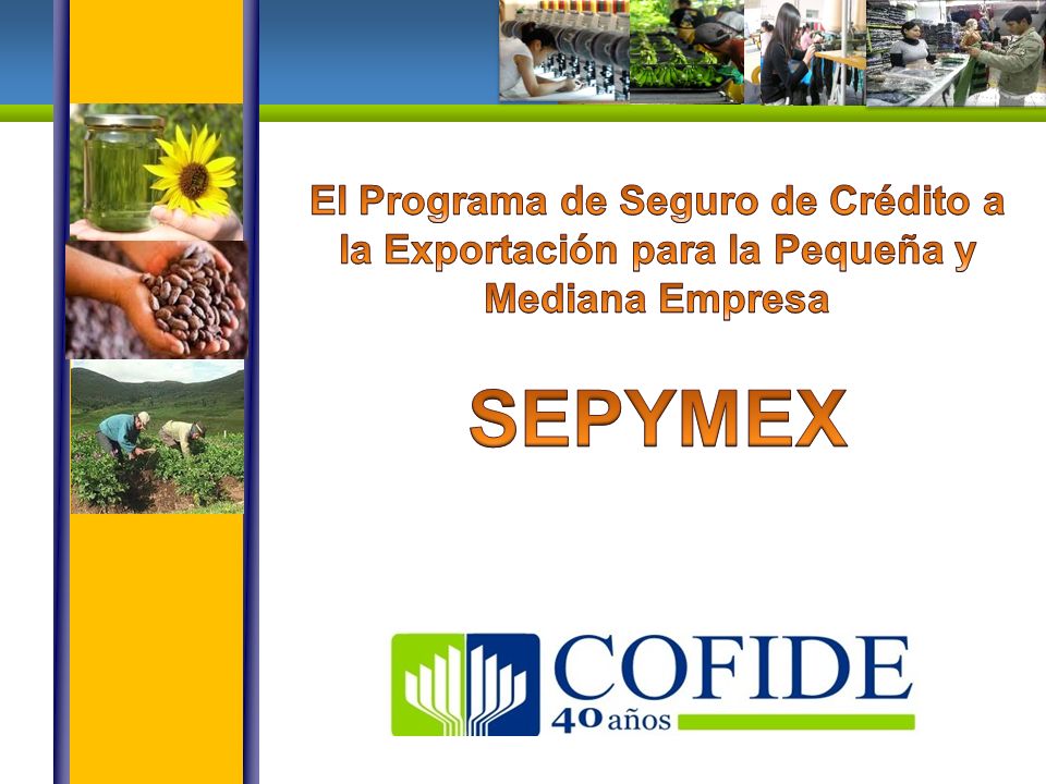 El Programa de Seguro de Crédito a la Exportación para la Pequeña y Mediana Empresa