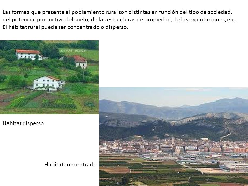 Las formas que presenta el poblamiento rural son distintas en función del tipo de sociedad, del potencial productivo del suelo, de las estructuras de propiedad, de las explotaciones, etc. El hábitat rural puede ser concentrado o disperso.