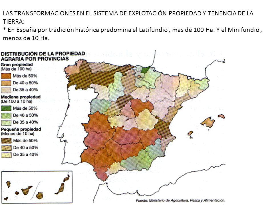 LAS TRANSFORMACIONES EN EL SISTEMA DE EXPLOTACIÓN PROPIEDAD Y TENENCIA DE LA TIERRA: