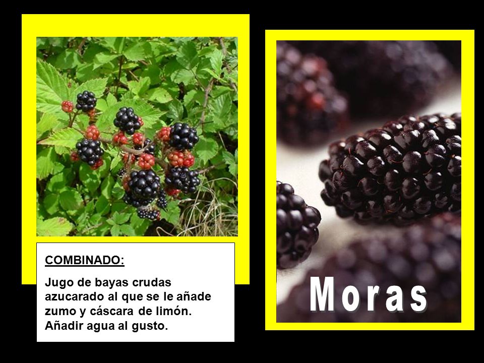 COMBINADO: Jugo de bayas crudas azucarado al que se le añade zumo y cáscara de limón. Añadir agua al gusto.