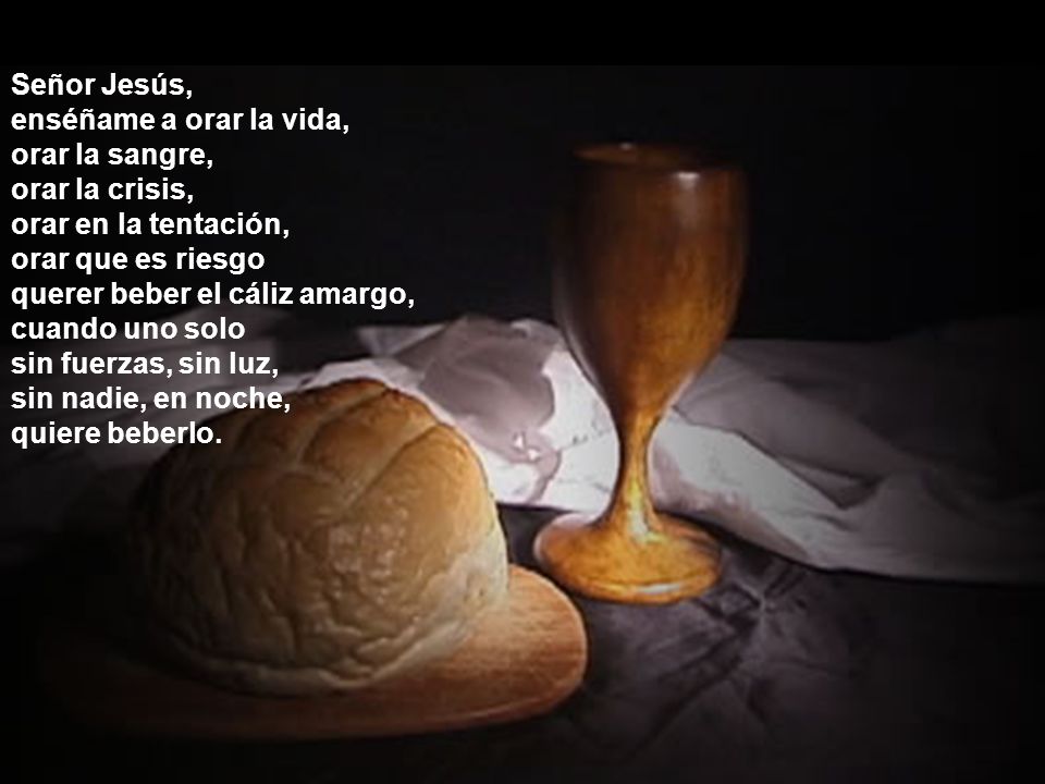 Señor Jesús, enséñame a orar la vida, orar la sangre, orar la crisis, orar en la tentación, orar que es riesgo.