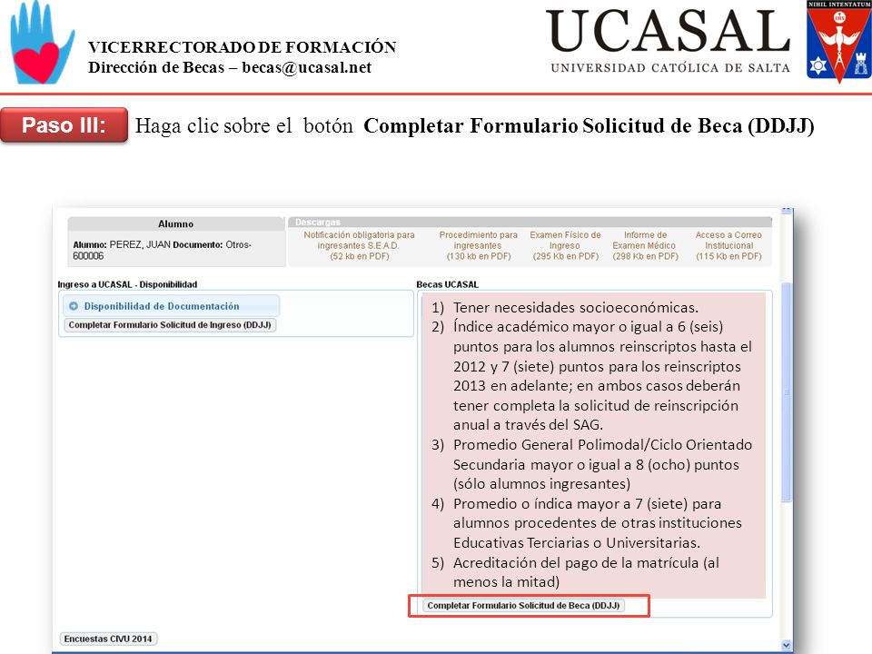 Haga clic sobre el botón Completar Formulario Solicitud de Beca (DDJJ)