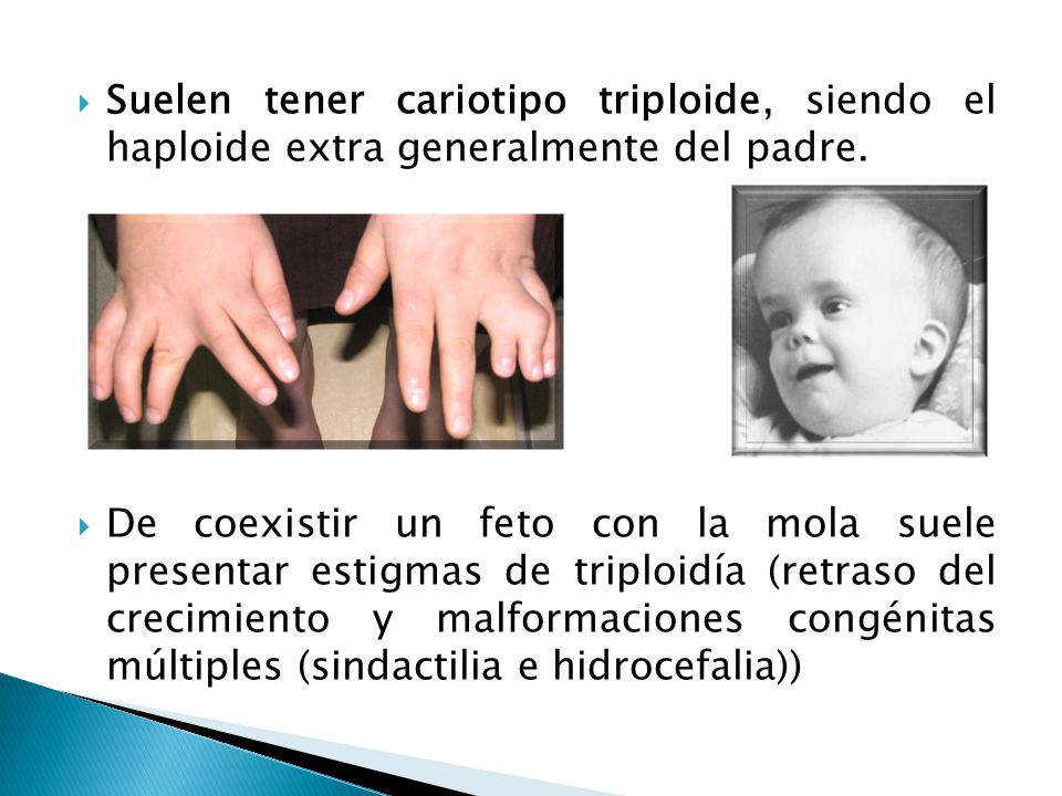Suelen tener cariotipo triploide, siendo el haploide extra generalmente del padre.