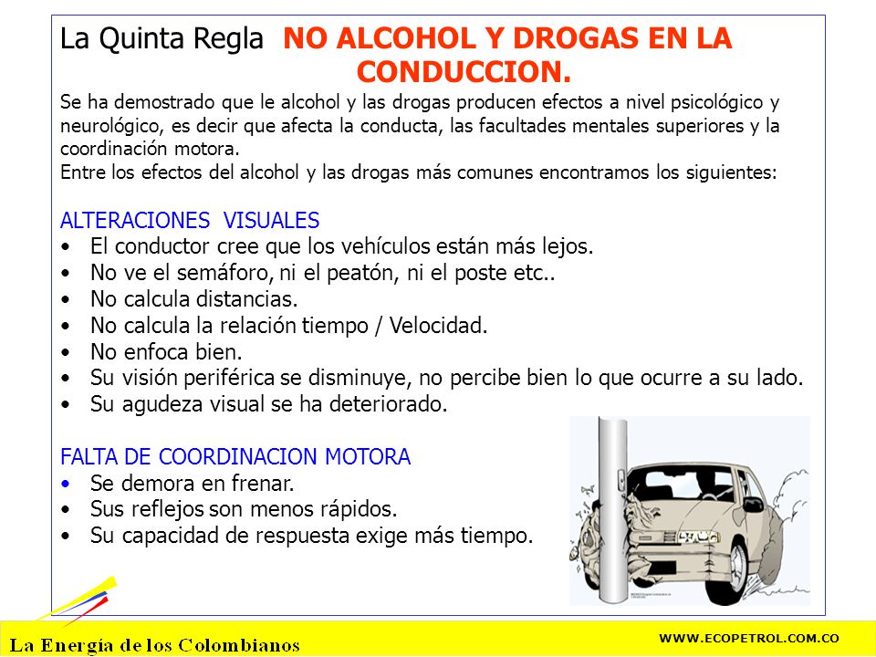 La Quinta Regla NO ALCOHOL Y DROGAS EN LA CONDUCCION.
