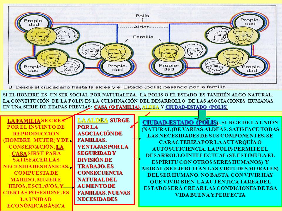 SI EL HOMBRE ES UN SER SOCIAL POR NATURALEZA, LA POLIS O EL ESTADO ES TAMBIÉN ALGO NATURAL. LA CONSTITUCIÓN DE LA POLIS ES LA CULMINACIÓN DEL DESARROLLO DE LAS ASOCIACIONES HUMANAS EN UNA SERIE DE ETAPAS PREVIAS: CASA (O FAMILIA), ALDEA Y CIUDAD-ESTADO (POLIS)