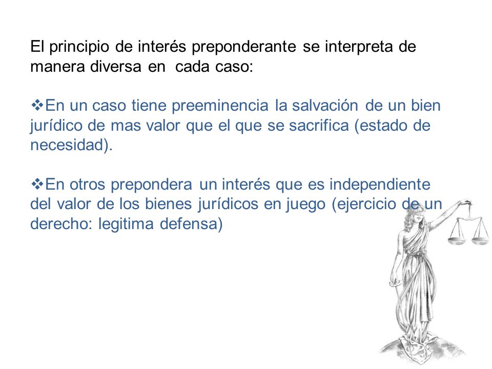 El principio de interés preponderante se interpreta de manera diversa en cada caso: