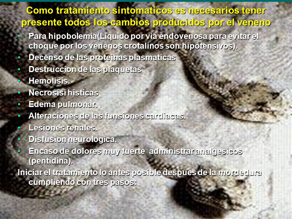 Como tratamiento sintomaticos es necesarios tener presente todos los cambios producidos por el veneno