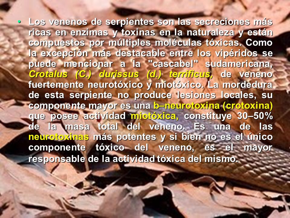 Los venenos de serpientes son las secreciones más ricas en enzimas y toxinas en la naturaleza y están compuestos por múltiples moléculas tóxicas.