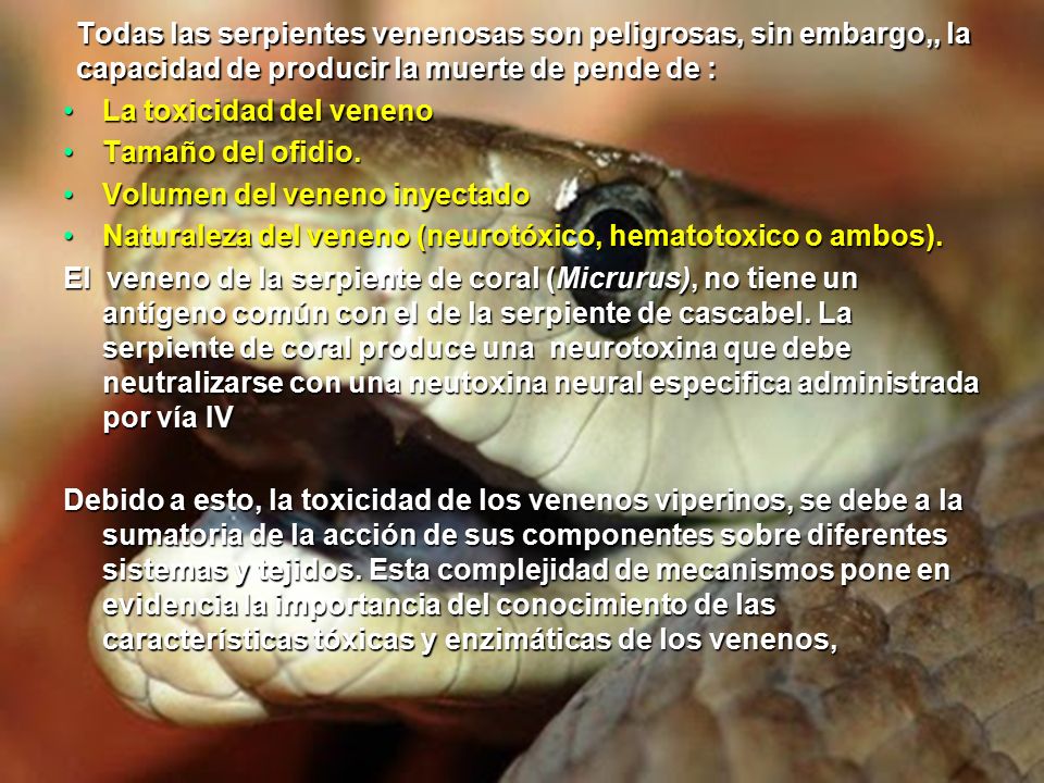 Todas las serpientes venenosas son peligrosas, sin embargo,, la capacidad de producir la muerte de pende de :