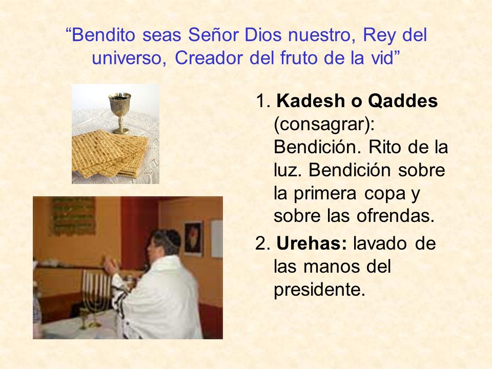 Bendito seas Señor Dios nuestro, Rey del universo, Creador del fruto de la vid
