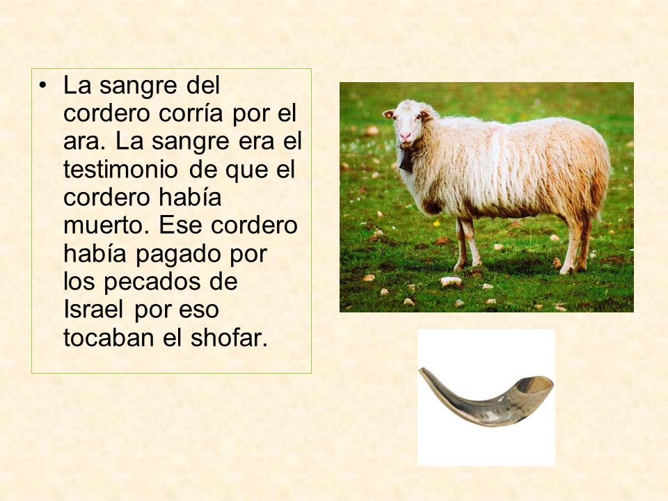 La sangre del cordero corría por el ara