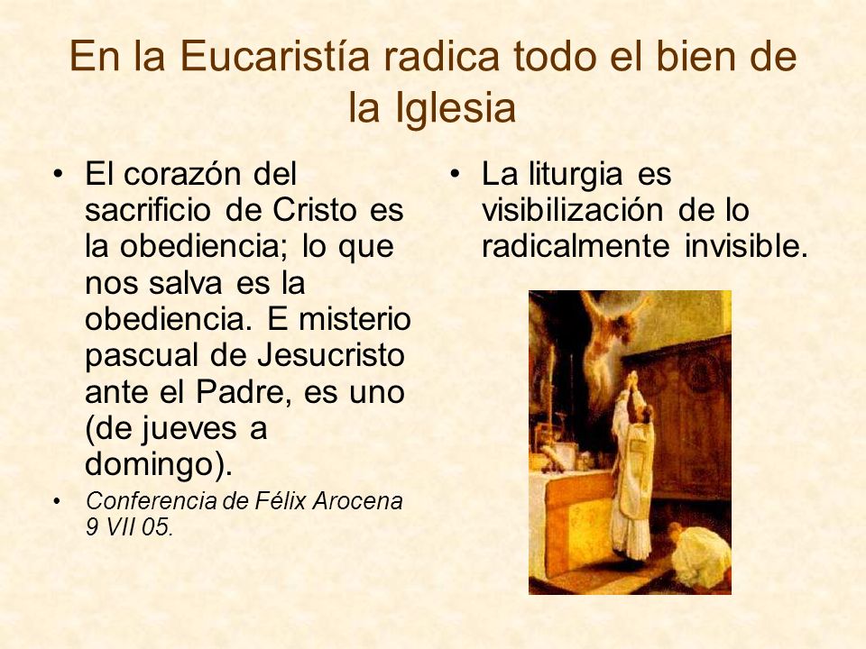En la Eucaristía radica todo el bien de la Iglesia