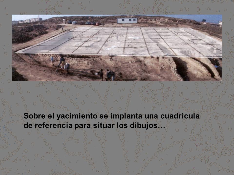 Sobre el yacimiento se implanta una cuadrícula de referencia para situar los dibujos…
