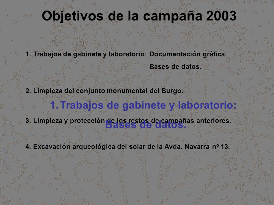 Objetivos de la campaña 2003 Trabajos de gabinete y laboratorio: