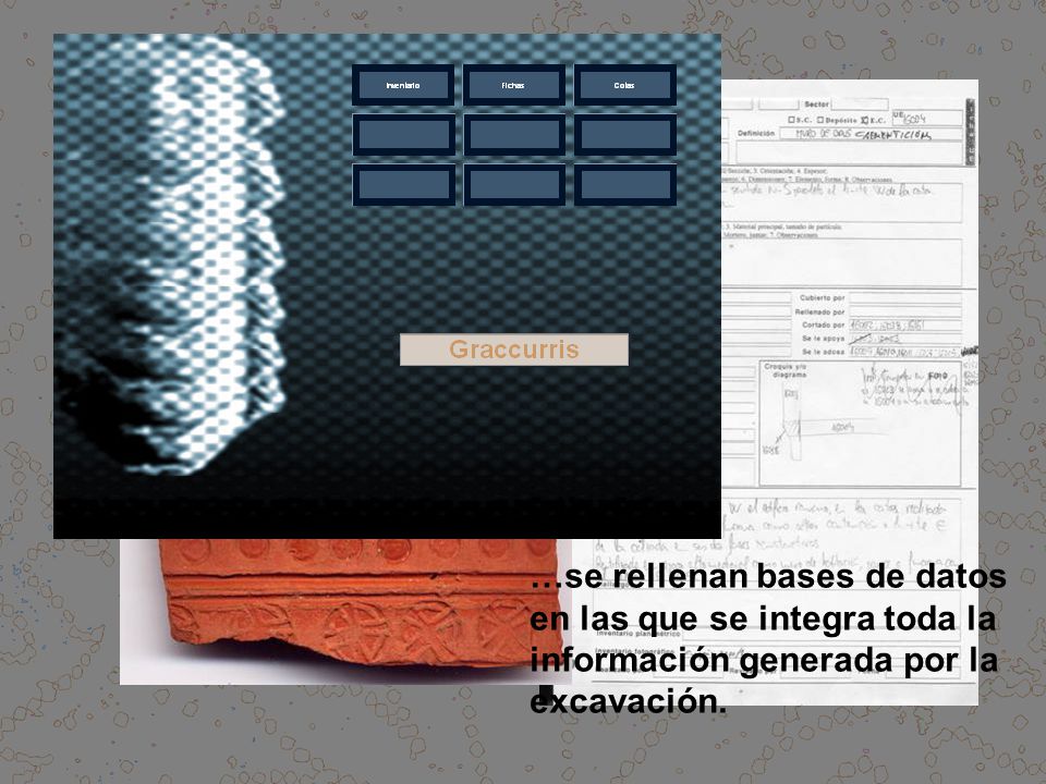 A partir de las fichas de campo donde se registra la estratigrafía del yacimiento, del registro fotográfico y de los inventarios de los materiales arqueológicos…