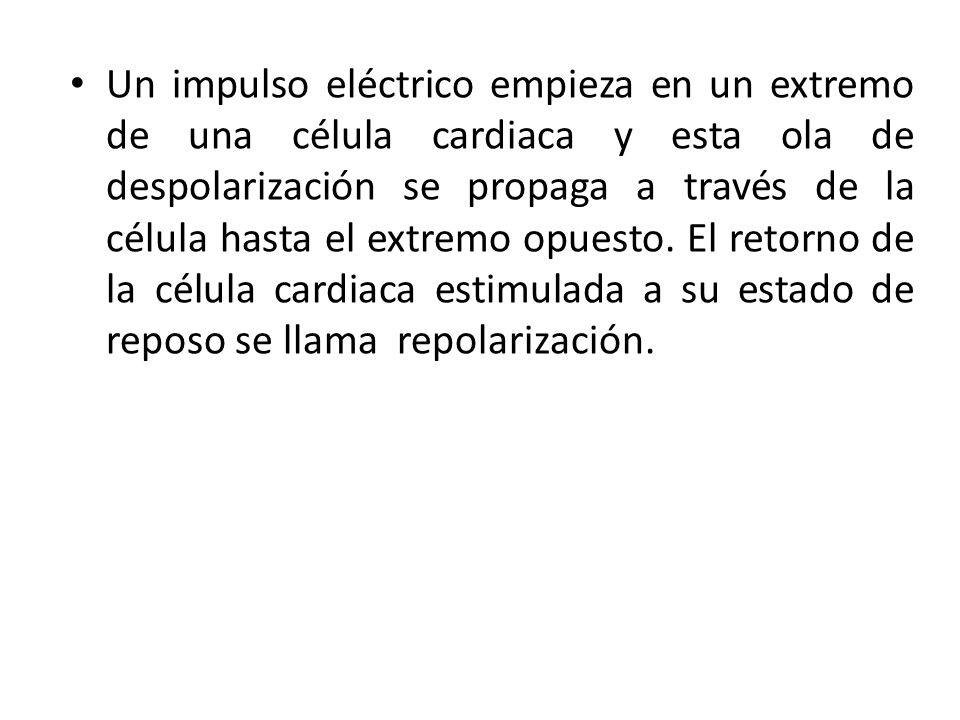Un impulso eléctrico empieza en un extremo de una célula cardiaca y esta ola de despolarización se propaga a través de la célula hasta el extremo opuesto.