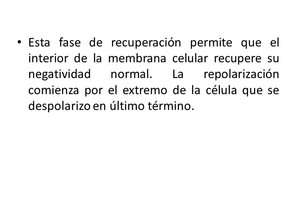 Esta fase de recuperación permite que el interior de la membrana celular recupere su negatividad normal.