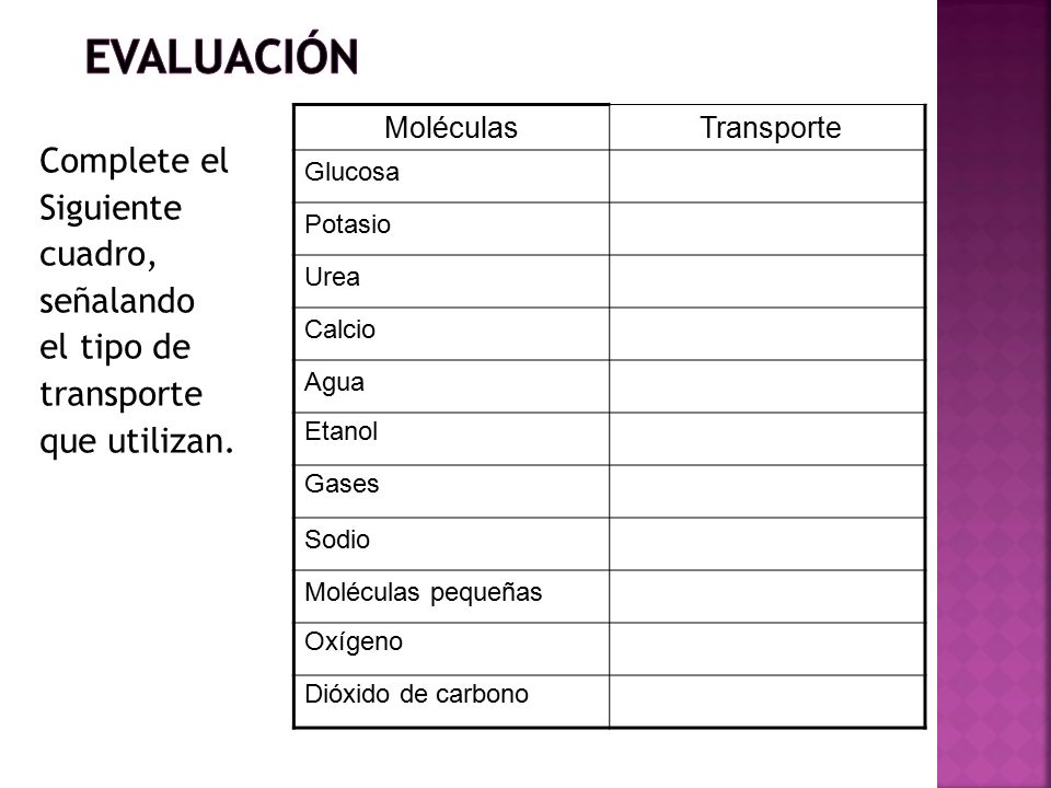 Evaluación Moléculas. Transporte. Glucosa. Potasio. Urea. Calcio. Agua. Etanol. Gases. Sodio.