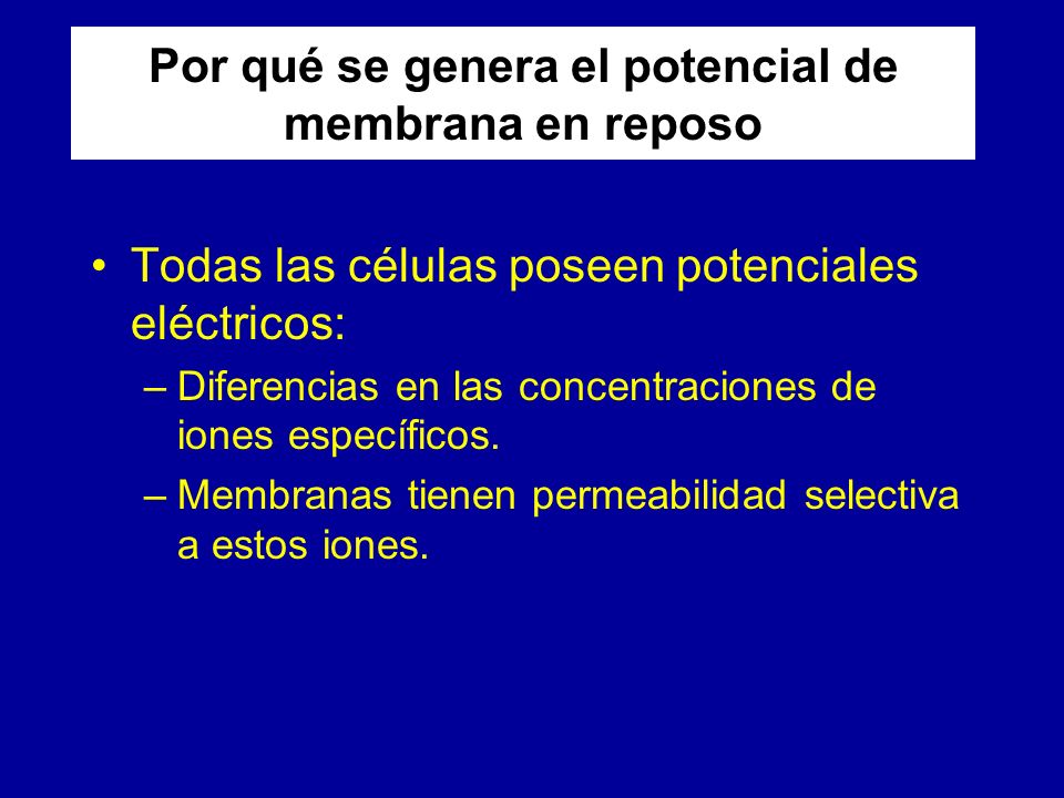 Por qué se genera el potencial de membrana en reposo
