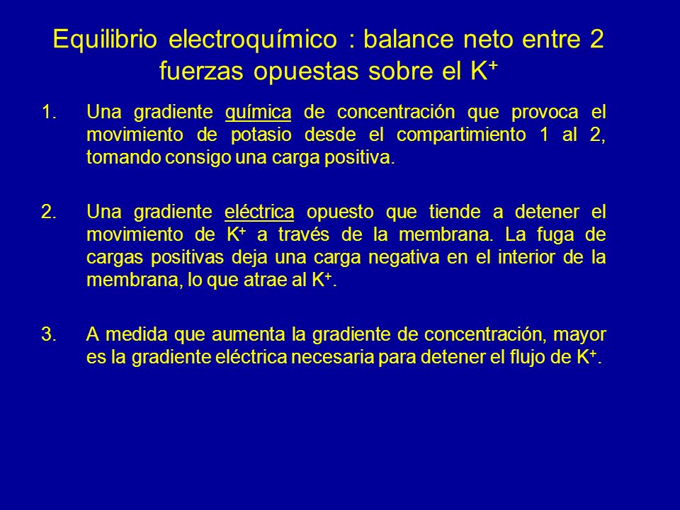 Equilibrio electroquímico : balance neto entre 2 fuerzas opuestas sobre el K+