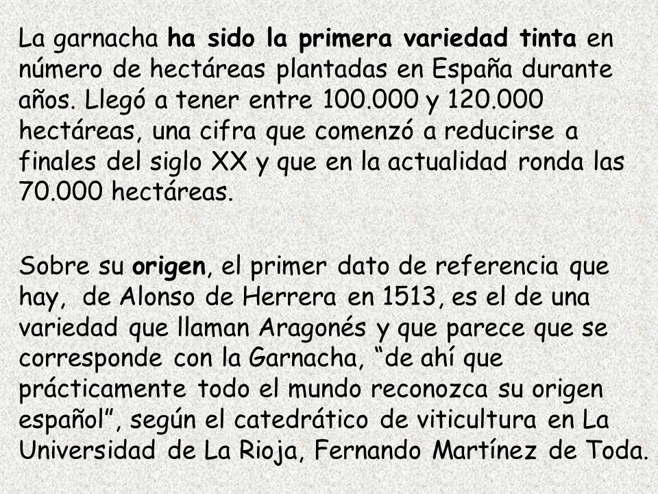 La garnacha ha sido la primera variedad tinta en número de hectáreas plantadas en España durante años. Llegó a tener entre y hectáreas, una cifra que comenzó a reducirse a finales del siglo XX y que en la actualidad ronda las hectáreas.