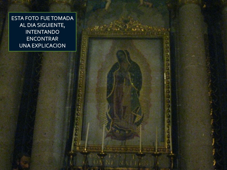 ESTA FOTO FUE TOMADA AL DIA SIGUIENTE, INTENTANDO ENCONTRAR UNA EXPLICACION