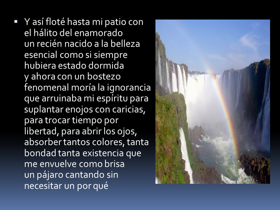Y así floté hasta mi patio con el hálito del enamorado un recién nacido a la belleza esencial como si siempre hubiera estado dormida y ahora con un bostezo fenomenal moría la ignorancia que arruinaba mi espíritu para suplantar enojos con caricias, para trocar tiempo por libertad, para abrir los ojos, absorber tantos colores, tanta bondad tanta existencia que me envuelve como brisa un pájaro cantando sin necesitar un por qué