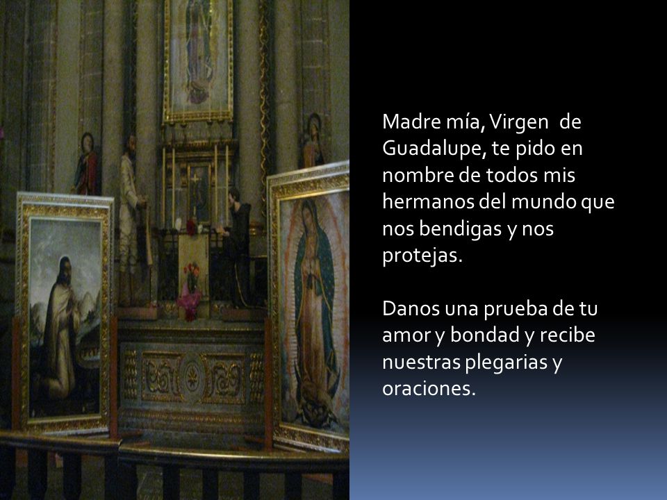Madre mía, Virgen de Guadalupe, te pido en nombre de todos mis hermanos del mundo que nos bendigas y nos protejas.