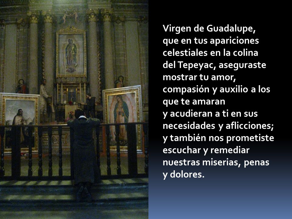 Virgen de Guadalupe, que en tus apariciones celestiales en la colina del Tepeyac, aseguraste mostrar tu amor, compasión y auxilio a los que te amaran y acudieran a ti en sus necesidades y aflicciones; y también nos prometiste escuchar y remediar nuestras miserias, penas y dolores.