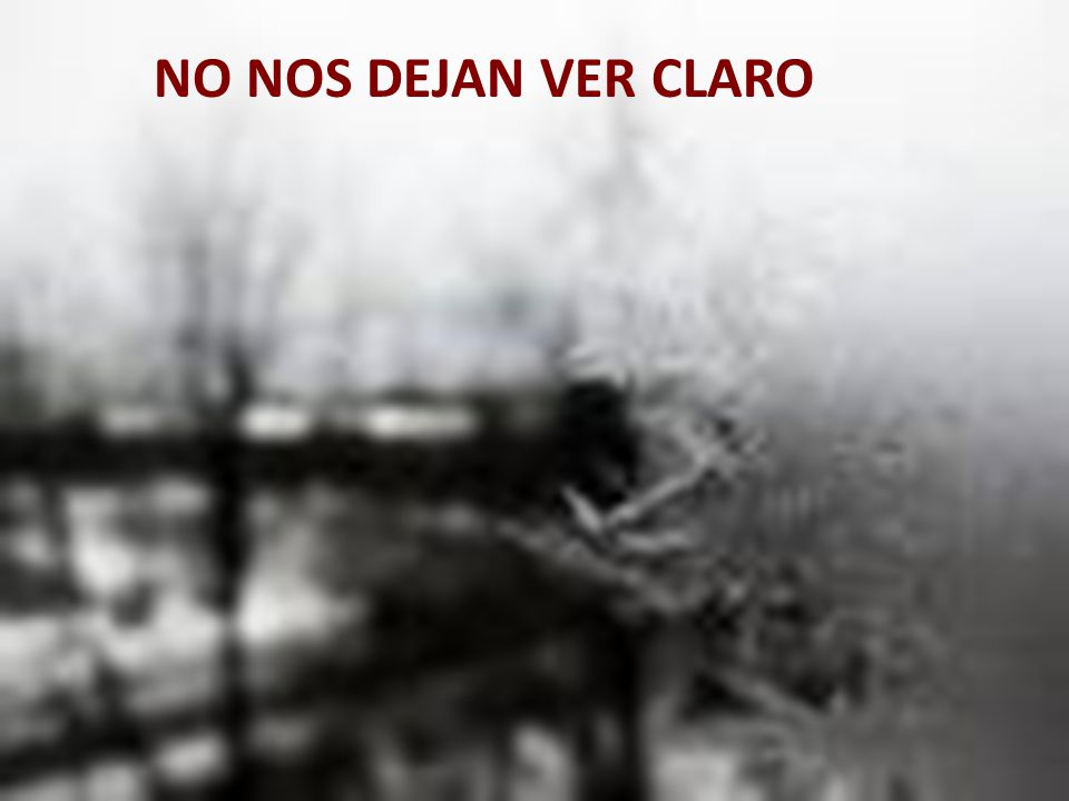 NO NOS DEJAN VER CLARO NO NOS DEJAN VER CLARO