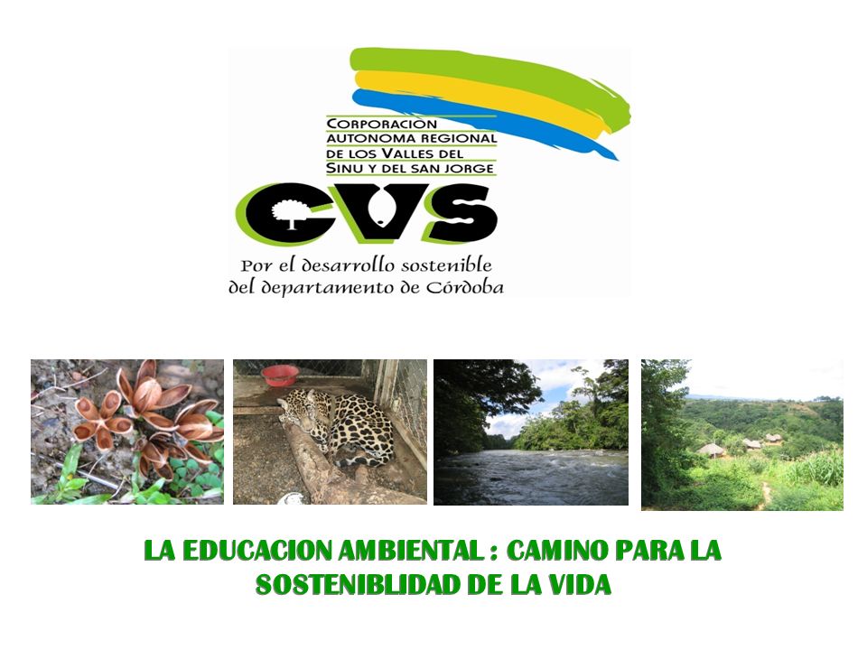 LA EDUCACION AMBIENTAL : CAMINO PARA LA SOSTENIBLIDAD DE LA VIDA