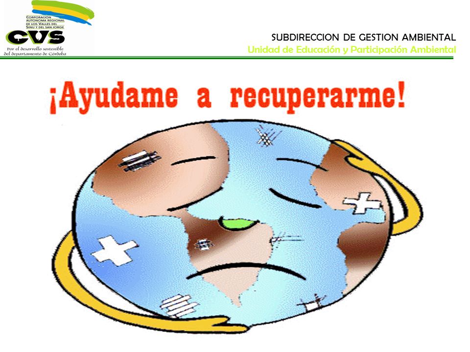 SUBDIRECCION DE GESTION AMBIENTAL Unidad de Educación y Participación Ambiental