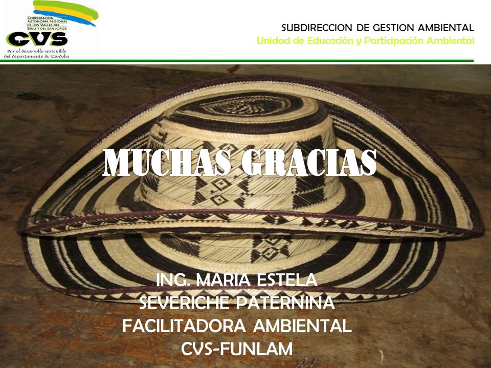 MUCHAS GRACIAS ING. MARIA ESTELA SEVERICHE PATERNINA