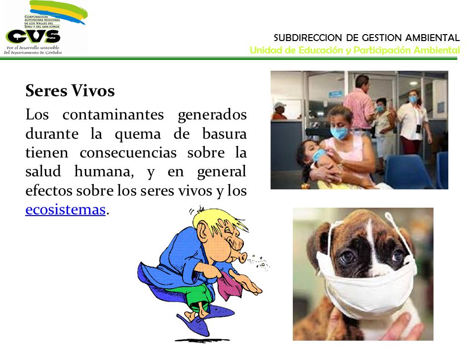 SUBDIRECCION DE GESTION AMBIENTAL Unidad de Educación y Participación Ambiental