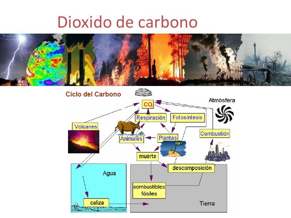 Dioxido de carbono