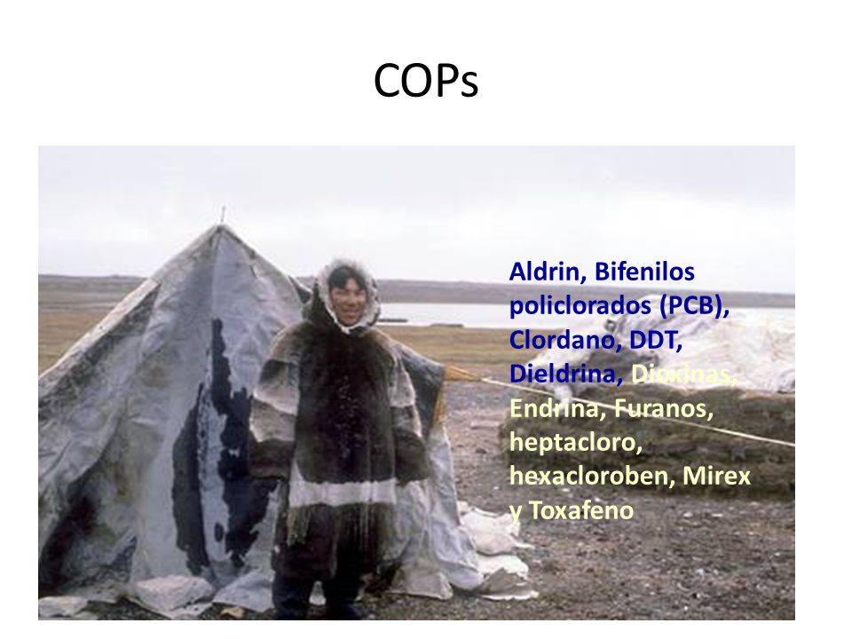 COPs Aldrin, Bifenilos policlorados (PCB), Clordano, DDT, Dieldrina, Dioxinas, Endrina, Furanos, heptacloro, hexacloroben, Mirex y Toxafeno.