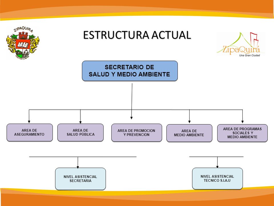 ESTRUCTURA ACTUAL SECRETARIO DE SALUD Y MEDIO AMBIENTE AREA DE