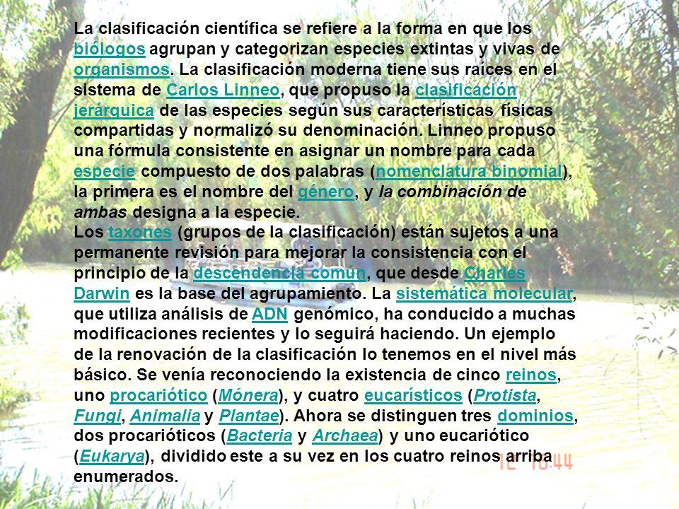 La clasificación científica se refiere a la forma en que los biólogos agrupan y categorizan especies extintas y vivas de organismos. La clasificación moderna tiene sus raíces en el sistema de Carlos Linneo, que propuso la clasificación jerárquica de las especies según sus características físicas compartidas y normalizó su denominación. Linneo propuso una fórmula consistente en asignar un nombre para cada especie compuesto de dos palabras (nomenclatura binomial), la primera es el nombre del género, y la combinación de ambas designa a la especie.
