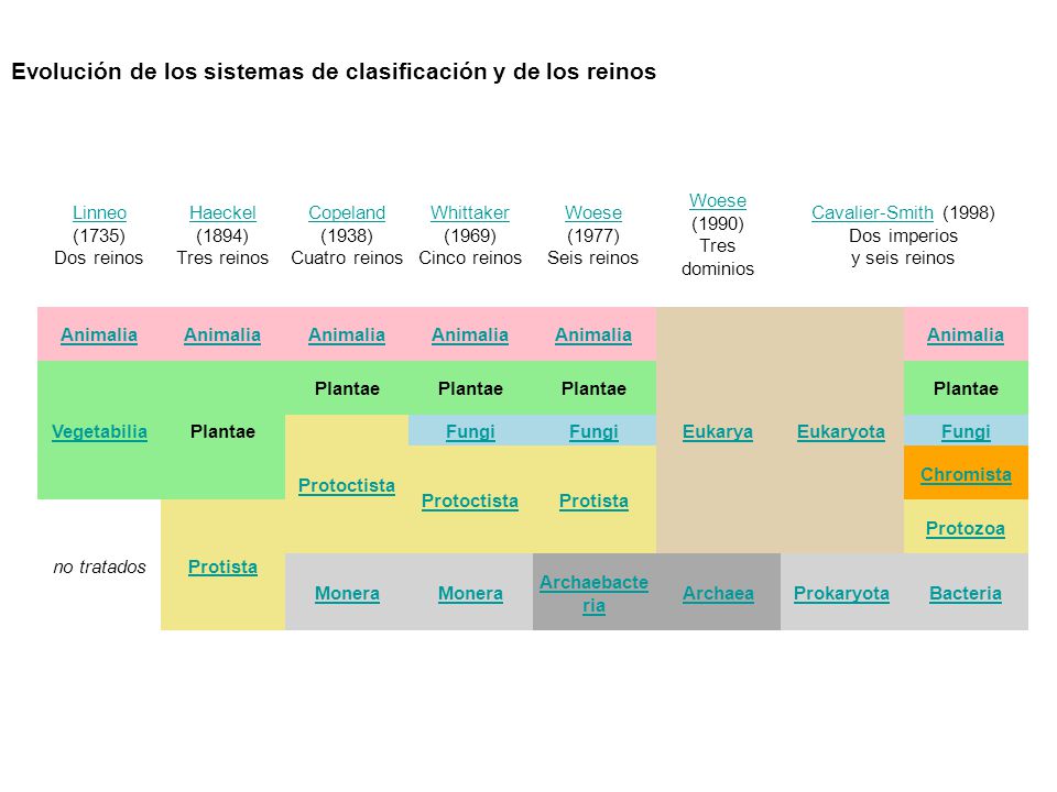 Evolución de los sistemas de clasificación y de los reinos