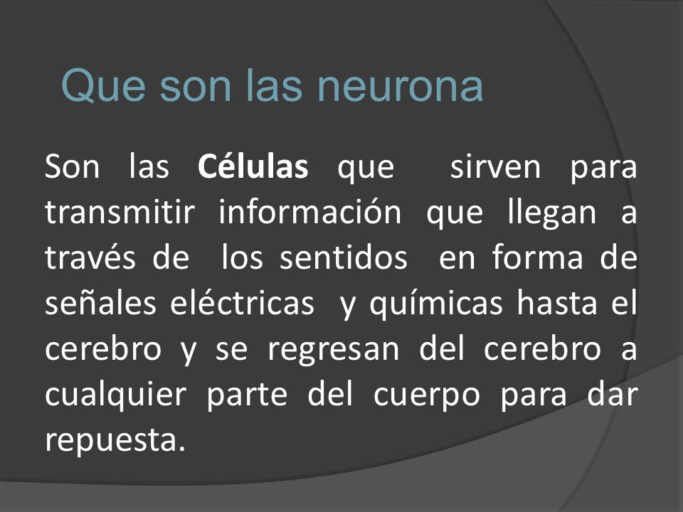 Que son las neurona