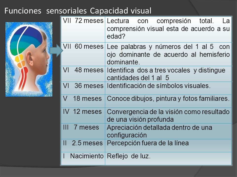 Funciones sensoriales Capacidad visual
